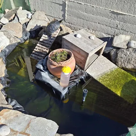 Holiday home Bajo Independiente De Casa En *