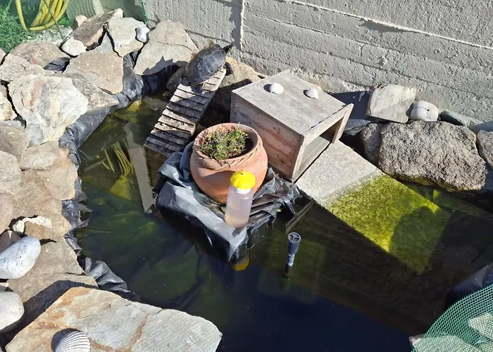 Tatil Evi Bajo Independiente De Casa En *